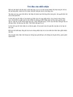 Trò đùa của nhền nhện