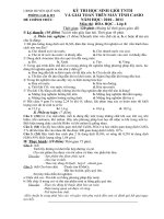 de thi hsg tin chuan