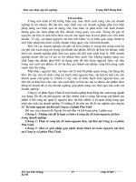 Báo cáo thực tập kế toán nguyên vật liệu tại công ty cổ phần phú vinh Thanh Hóa