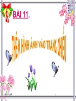 them hinh anh vao trang chieu