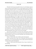 Chiến lược phát triển thương hiệu VIfa của công ty CP Tôn mạ màu Việt-Pháp