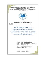 Hoàn thiện công tác động viên khuyến khích nhân viên tại công ty Lưới điện cao thế TPHCM