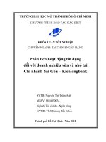 Phân tích hoạt động tín dụng đối với doanh nghiệp vừa và nhỏ tại chi nhánh Sài Gòn - Kienlongbank