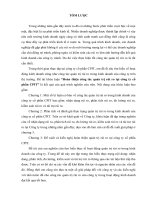 Hoàn thiện công tác quản trị rủi ro tại công ty cổ phần CPIT