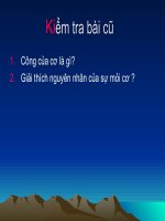 Tiến hóa của hệ vận động