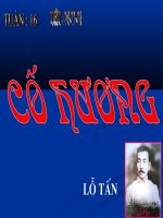 Tiet 767778 Co huong