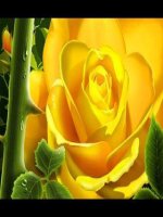 Bài ÁNH TRĂNG -cô Võ Thị Lượng