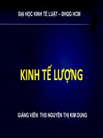 Slide bài giảng kinh tế lượng