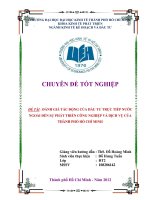 Đánh giá tác động của đầu tư trực tiếp nước ngoài đến sự phát triển công nghiệp và dịch vụ của Thành phố Hồ Chí Minh