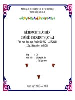 chu de the gioi thuc vat 4 tuoi