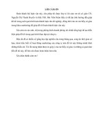 Luận văn Giải pháp nâng cao hiệu quả ứng dụng Marketing điện tử tại công ty TNHH Góc Phố MTV DANACO