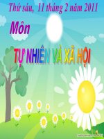 Khả năng kì diệu của lá cây (Rất hay)