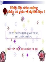 tiet 84 dien dat trong van nghi luan