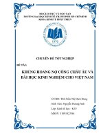 Khủng hoảng nợ công  Châu Âu và bài học kinh nghiệm cho Việt Nam ( Chuyên đề tốt nghiệp  TP.HCM  Trường Đại Học Kinh Tế, 2013)