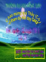 CUỘC CHẠY ĐUA TRONG RỪNG ( HOT NHẤT )