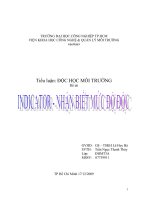 Tiểu luận Indicator - Nhận biết mức độ độc