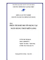 Phân tích rủi ro tín dụng tại ngân hàng TMCP Kiên Long