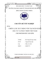 Chiến lược huy động vốn tại Ngân hàng Đầu tư và Phát triển Việt Nam chi nhánh bắc Sài Gòn