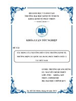 Tác động của nợ công đến tăng trưởng kinh tế  Trường hợp các quốc gia đang phát triển Châu Á và VN ( Chuyên đề tốt nghiệp TP.HCM  Trường Đại Học Kinh Tế )