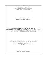 Xây dựng chiến lược kinh doanh cho nhóm sản phẩm sữa nước và sữa chua uống của công ty cổ phần sữa Vinamilk