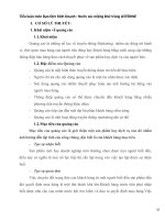 Tiểu luận môn Đạo Đức Kinh Doanh : Nước súc miệng khử trùng LISTERINE