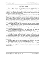 Giải pháp nâng cao chất lượng áo T – Shirt trong xây dựng và phát triển thương hiệu của công ty TNHH Namsung Vina