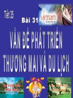 Bài 31. Vấn đề phát triển thương mại và du lịch