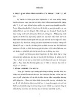 Bước đầu tìm hiểu về không gian phức Hyperbolic