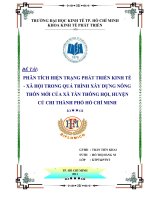 Phân tích hiện trạng phát triển kinh tế - xã hội trong quá trình xây dựng nông thôn mới của xã Tân Thông hội, huyện Củ Chi Thành phố Hồ Chí Minh