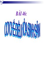 Cơ chế điều hoà sinh sản (11NC)