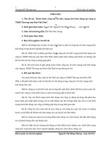 Hoàn thiện công tác tổ chức mạng lưới bán hàng tại công ty TNHH Thương mại Kim Việt Phát