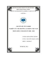 Nghiên cứu thị trường lao động Việt Nam trong bối cảnh kinh tế 2000-2010