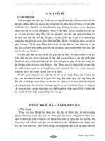 SKKN.nâng coa chất lượng hoạt dộng ngoài giờ lên lớp