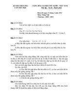 Đề thi HS giỏi cấp tỉnh năm học 2010 - 2011 (Toán)