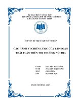 Chuyên đề thực tập Các hành vi chiến lược của tập đoàn Thái Tuấn trên thị trường nội địa  (2013)