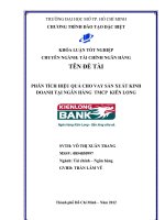 Phân tích hiệu quả cho vay sản xuất kinh doanh tại ngân hàng TMCP Kiên Long