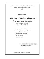Phân tích tình hình tài chính công ty cổ phần sản xuất thương mại Tân Việt Xuân