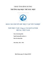báo cáo chuyên đề thực tập tốt nghiệp tại cong ty clear watter metal việt nam