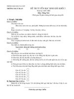 đê thi học sinh giỏi khối 4-5