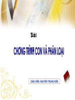 Tin học 11- bài 19