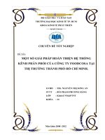 Một số giải pháp hoàn thiện hệ thống kênh phân phối của Công ty Foodcosa tại thị trường Thành phố Hồ Chí Minh