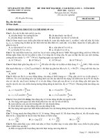 ĐỀ THI THỬ ĐH-CĐ 2010 LẦN 1 ( VQ)