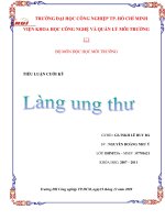 Tiểu luận Làng ung thư
