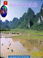 Tiết 34-địa 8- Bài ĐẶC ĐIỂM ĐỊA HÌNH VIỆT NAM