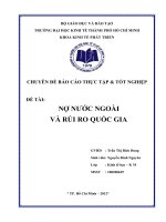 Nợ nước ngoài và rủi ro quốc gia  Chuyên đề tốt nghiệp TP.HCM  Trường Đại Học Kinh Tế,