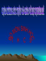 Bài 30: Vệ sinh hệ tiêu hóa