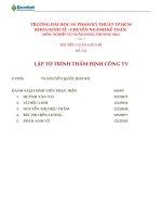 tờ trình thẩm định công ty