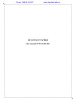 ĐỀ CƯƠNG ÔN TẬP HKII MÔN TÓAN KHỐI 10