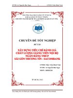 Xây dựng tiêu chí đánh giá chất lượng giảng viên nội bộ Ngân hàng TMCP Sài Gòn Thương Tín - Sacombank