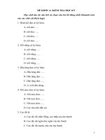 Đề kiểm tra HK lớp 6